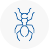Ant Removals In Leyland