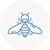 Bee Nest Removal Leyland