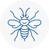 Leyland Hornet Nest Removals