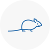 Mice Exterminators In Leyland
