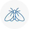 Moth Control Specialists In Leyland