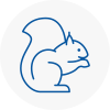 Leyland Rodent Removals