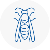 Leyland Wasp Nest Removal